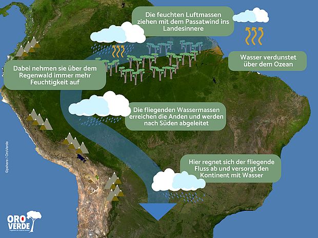 Infografik zur Entstehung der fliegenden Flüsse im Amazonasbecken.