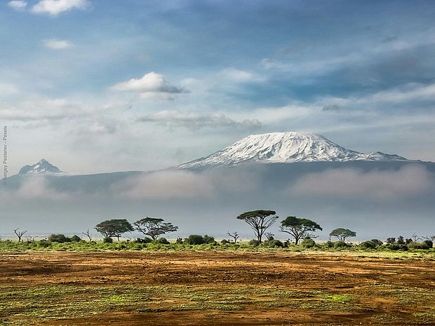 Der Kilimandscharo ist von dichten Bergnebelwäldern umgeben. ©Sergey Pesterev - Pexels