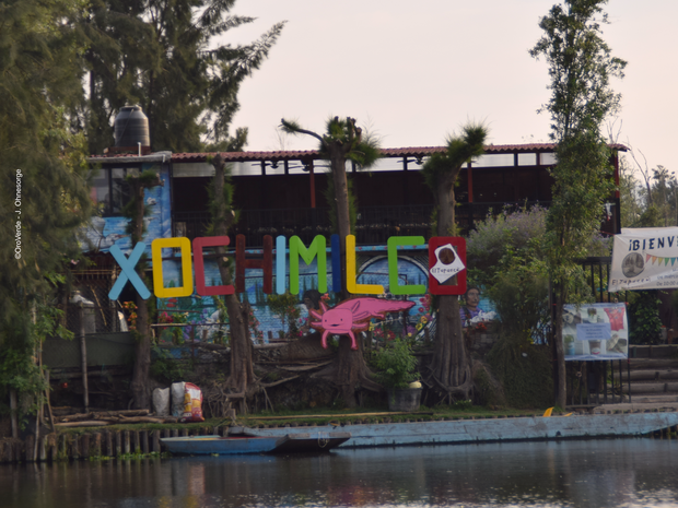 Eine Karikatur des Axolotls wirbt für den Xochimilcosee ©OroVerde - J. Ohnesorge