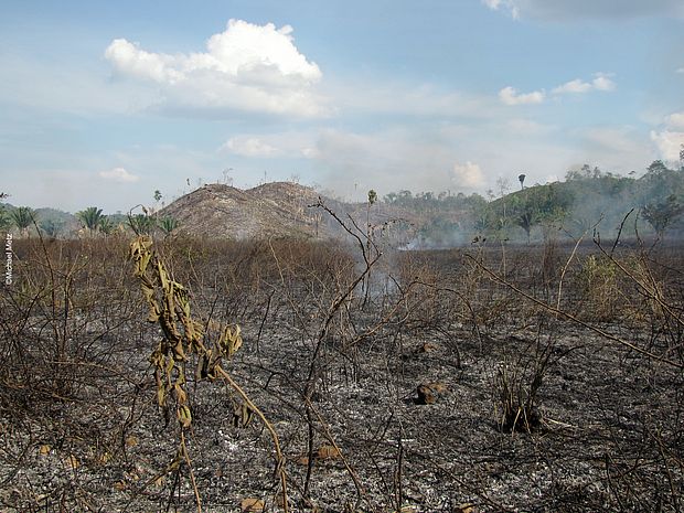 Eine abgeholzte und brandgerodete Fläche in Guatemala