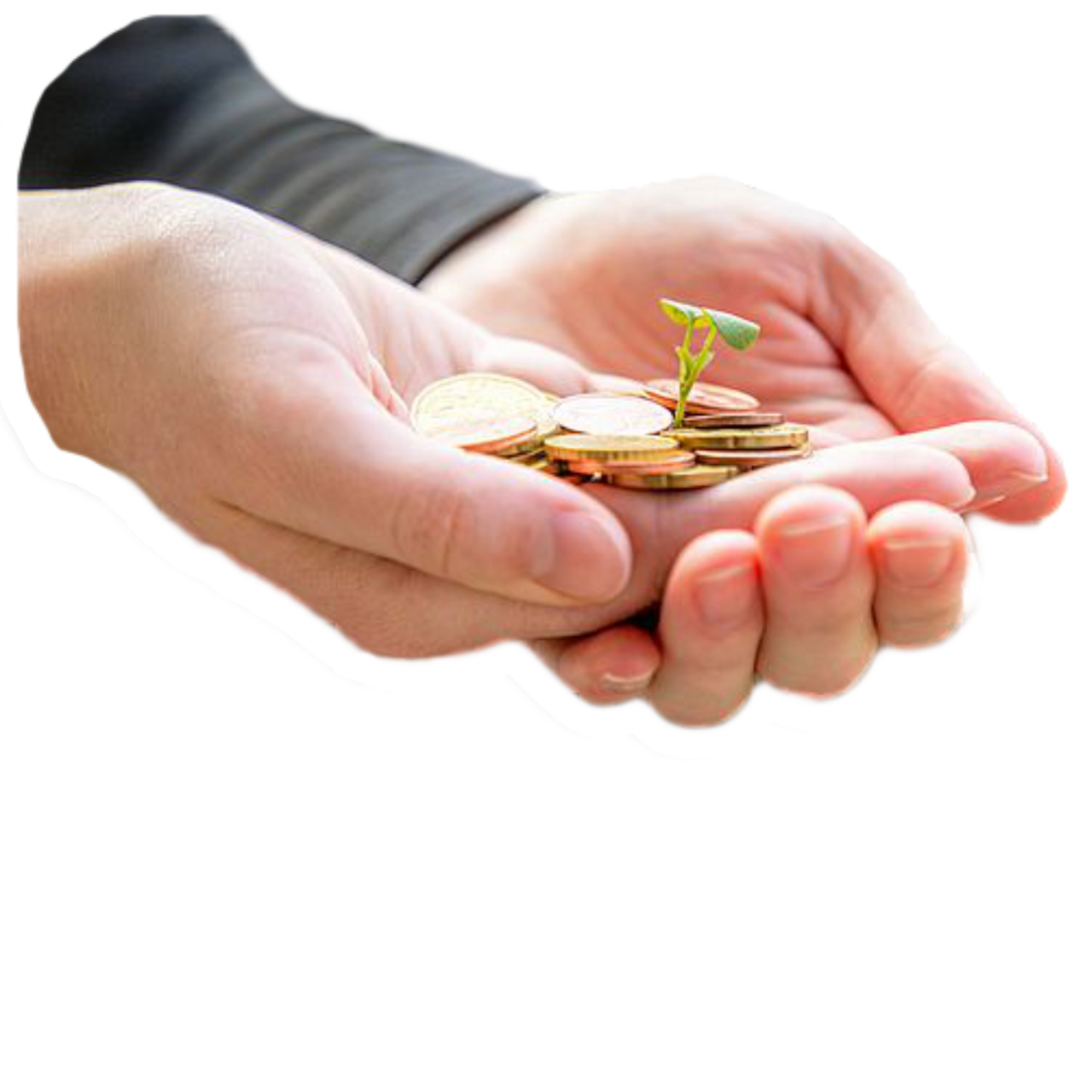 Hände mit Geld und Setzling.