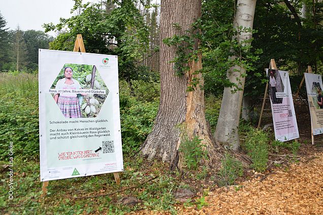 Zum wiederholten Male bestückt OroVerde die Freiluftausstellung im Bonner Kottenforst. © OroVerde/ Lisa Geike