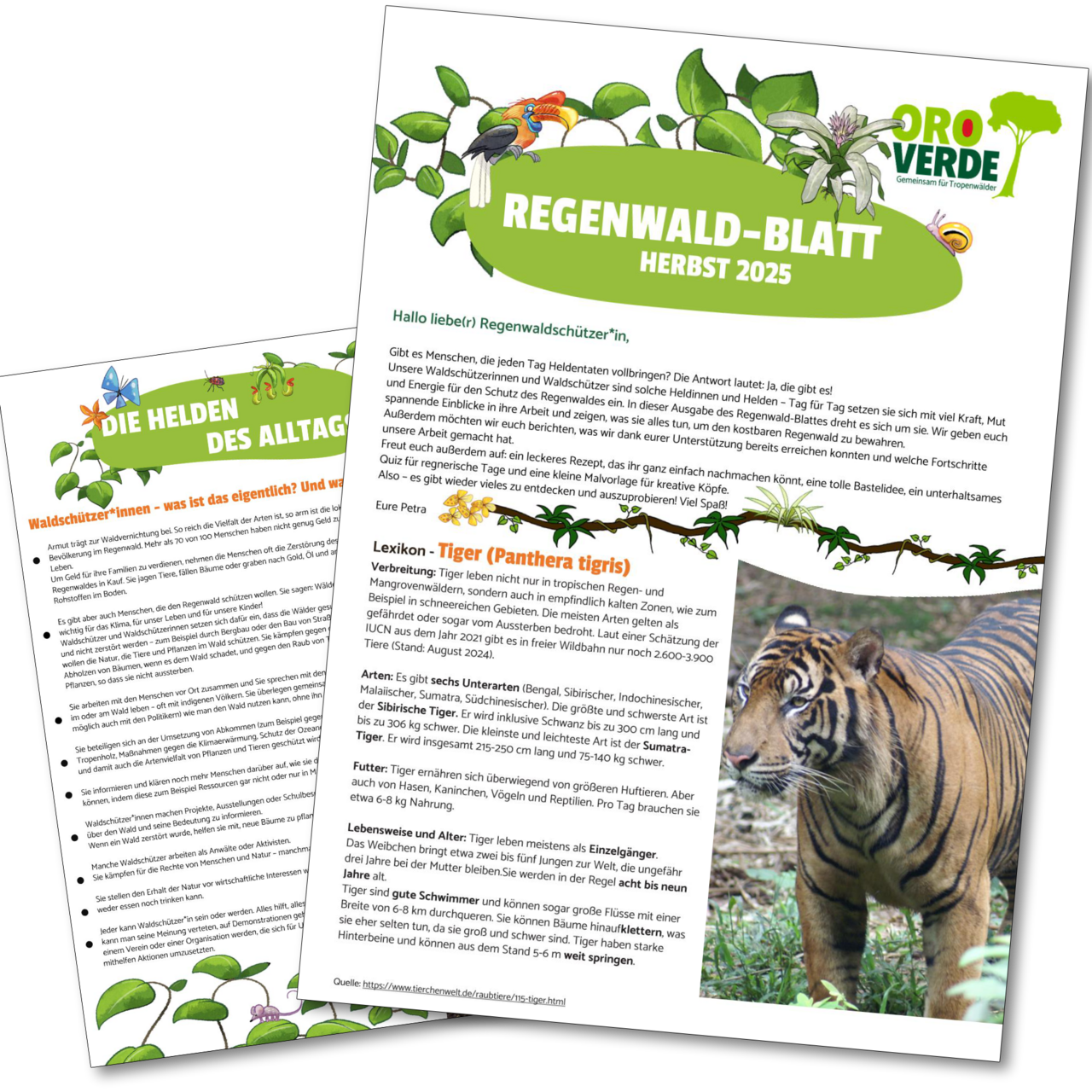 PDF-Download Regenwald-Blatt Herbst 2025