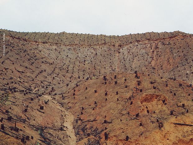 So sieht eine zerstörte Landschaft aus nach einem Kahlschlag.