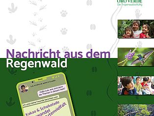 ©OroVerde Deckblatt Unterrichtsmaterial "Nachricht aus dem Regenwald für die Grundschule/Sachunterricht