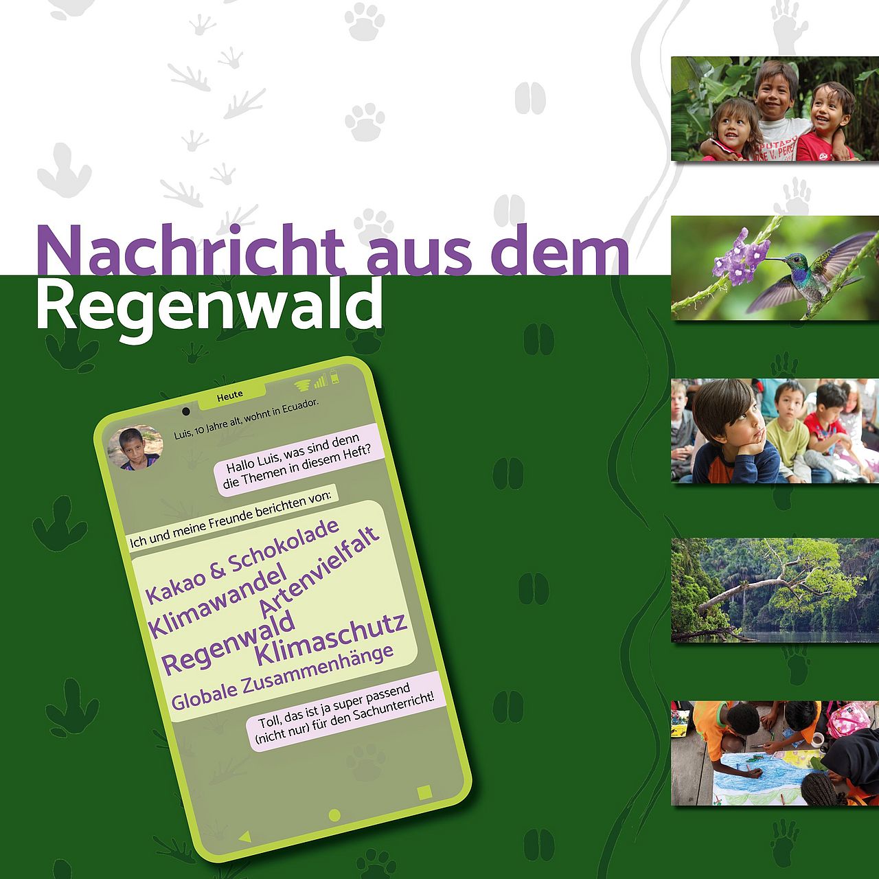 ©OroVerde Deckblatt Unterrichtsmaterial "Nachricht aus dem Regenwald für die Grundschule/Sachunterricht