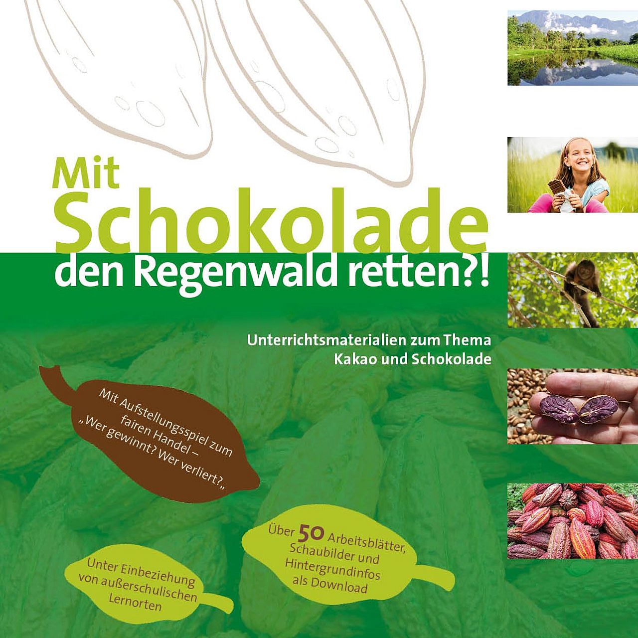 Unterrichtsmaterial Kakao und Schokolade "Mit Schokolade den Regenwald retten?!" © Oroverde
