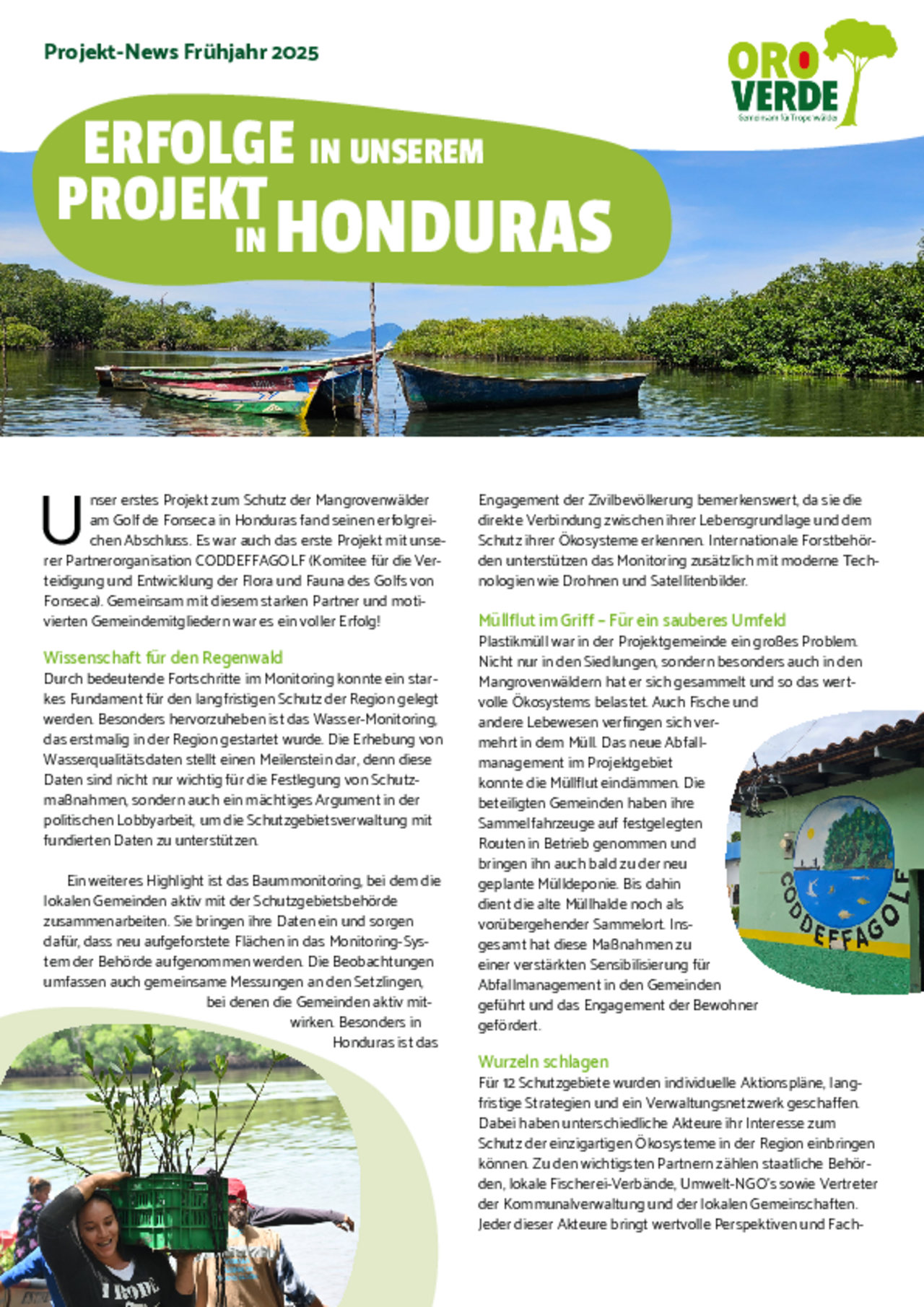 OroVerde Fortschrittsbericht Honduras 2025