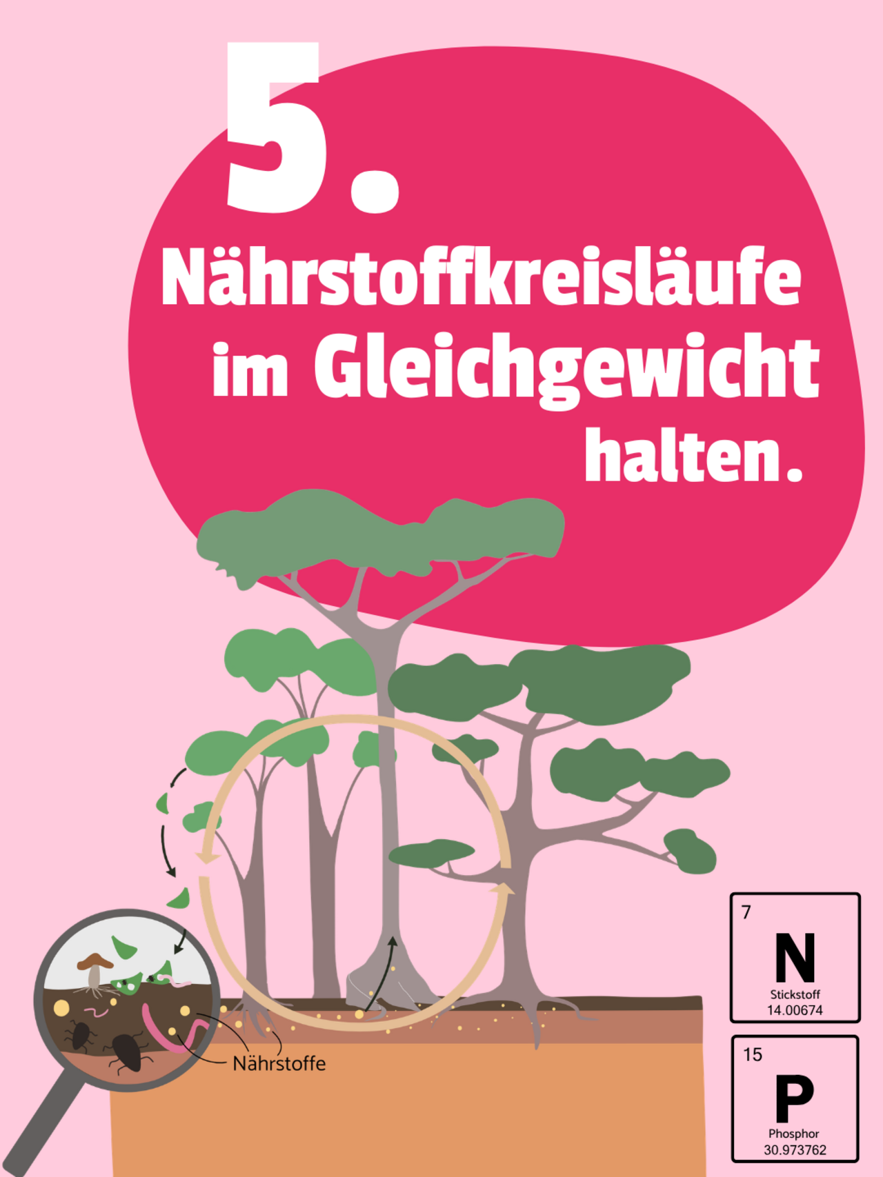 Das Sharepic zeigt eine Illustration den Nährstoffkreislauf in einem Regelwald. Auf einer pinken Bubble steht: 5. Nährstoffkreisläufe im Gleichgewicht halten.