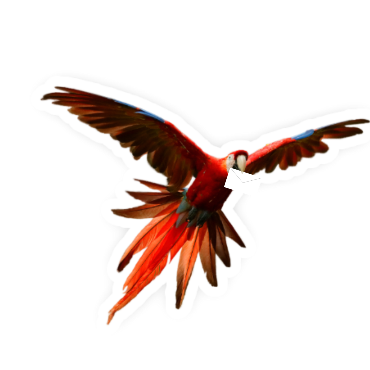 Roter Ara