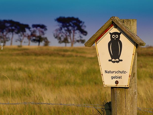 Ein Naturschutzgebiet ©Pxhere