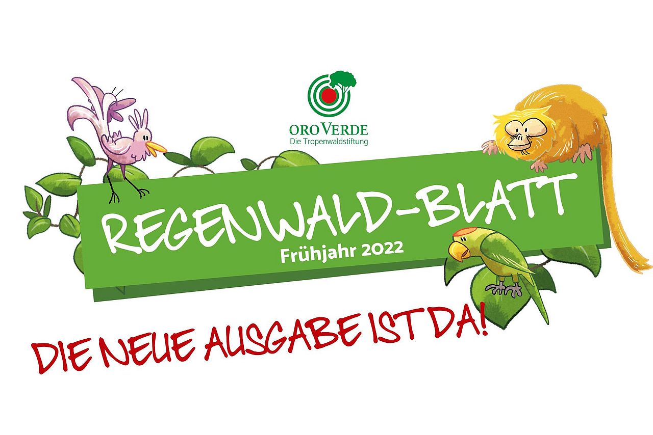 Informationen aus dem Regenwald für die ganze Familie. Regenwald-Blatt von OroVerde, Ausgabe Frühjahr 2022