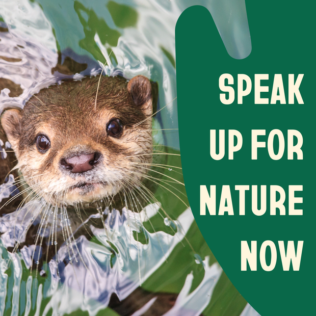 Mach mit und sag der EU Deine Meinung #HandsOffNature