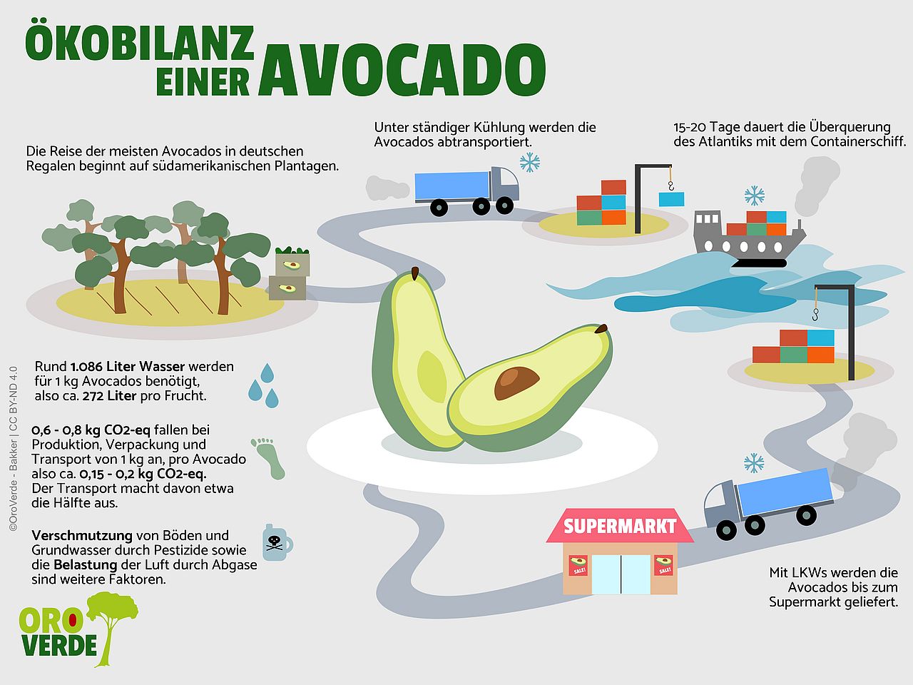 Eine Infografik zur Avocado