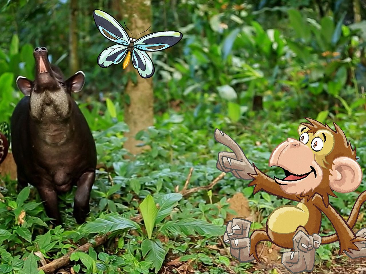 Ein Tapir schnüffelt an einem gezeichneten Schmetterling. Ein Comic-Affe zeigt begeistert auf den Schmetterling