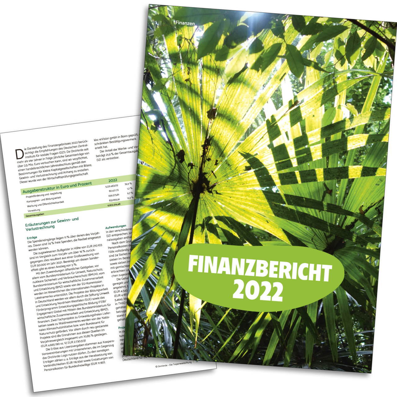 Finanzbericht OroVerde 2022