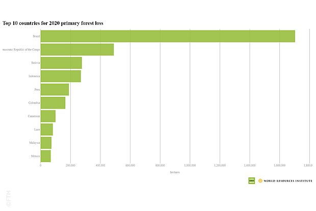 Die 10 Länder, in denen 2020 der meiste Waldflächenverlust aufgezeichnet wurde (in Hektar) ©Global Forest Watch CC BY 4.0