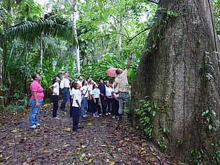 Regenwaldschutz in Venezuela startet bei den Jüngsten