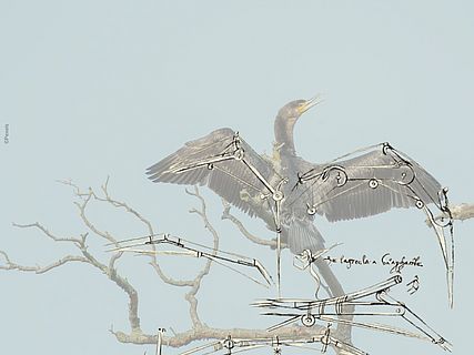 Bionik vereint Natur und Technik