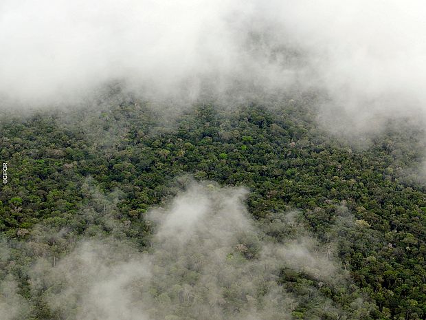 Wolkenströme über dem Amazonas