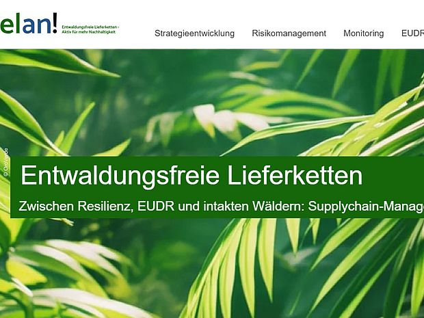 Startseite elan!Portal