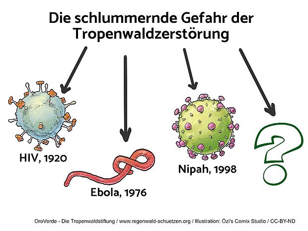 Tropenwaldzerstörung als Treiber für Epidemien und Pandemien. ©Özi‘s Comix Studio