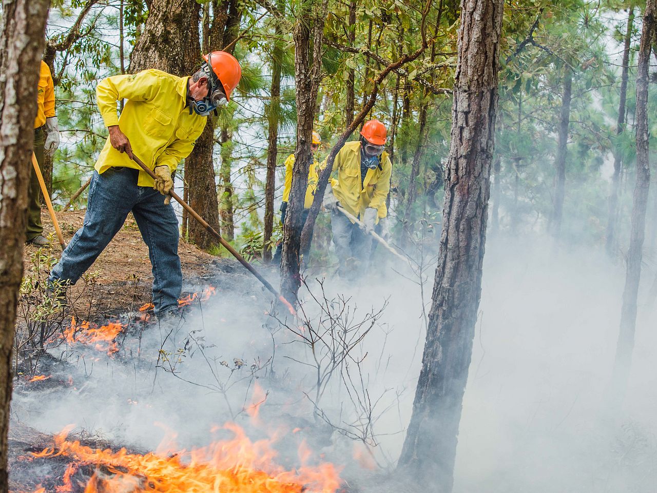 Einsatz Waldbrand-Brigade ©FDN – M.E.Wickert Eine Waldbrand-Brigade bekämpft das Feuer, um den Wald zu schützen.