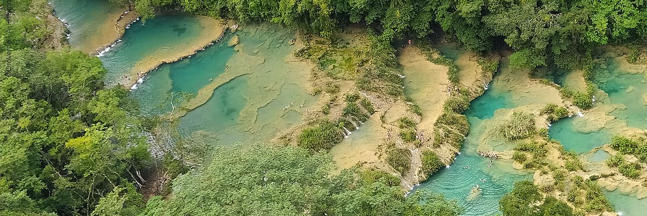 Wasser im Regenwald © OroVerde – A. Hillbrand