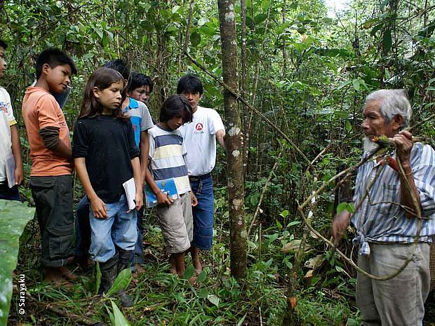 Unterricht im Wald ©Sarayaku