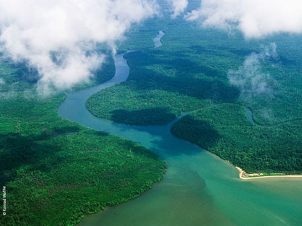 Regenwald in Borneo ©Konrad Wothe