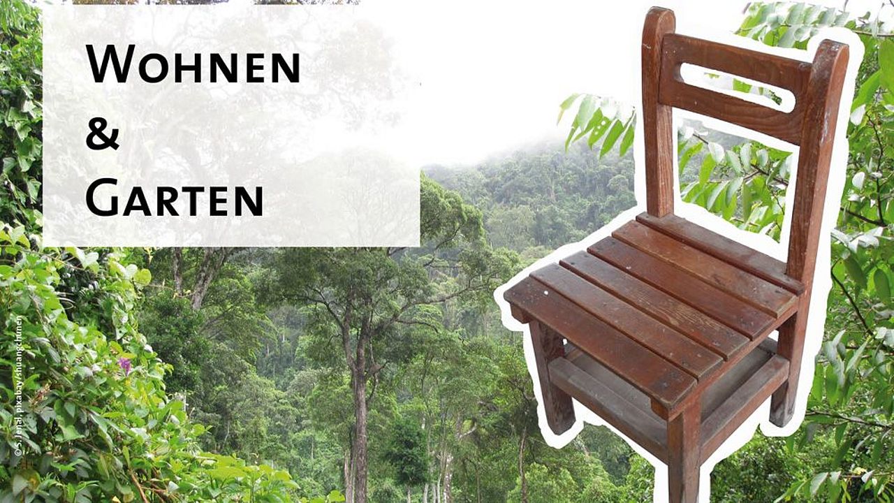 Wohnen und Garten: heimisches Holz kaufen ©pixabay/shuangchunen