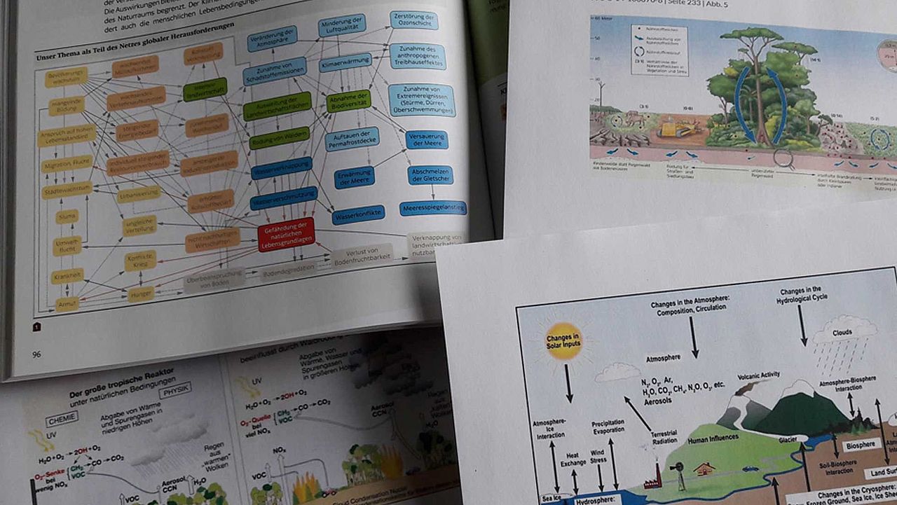 Beispiele für Kausaldiagramme ©OroVerde