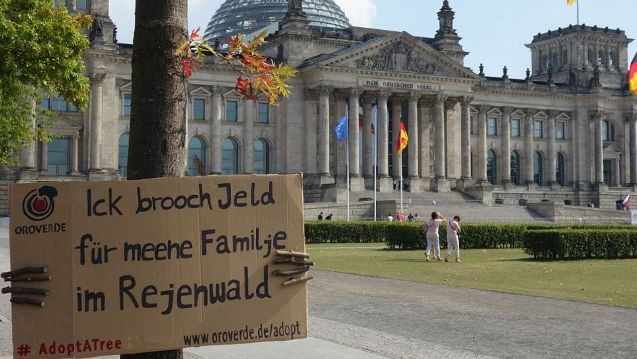 Straßenaktion Adopt a tree in Berlin