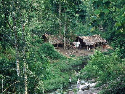 Häuser der Indigenen im Regenwald © Konrad Wothe