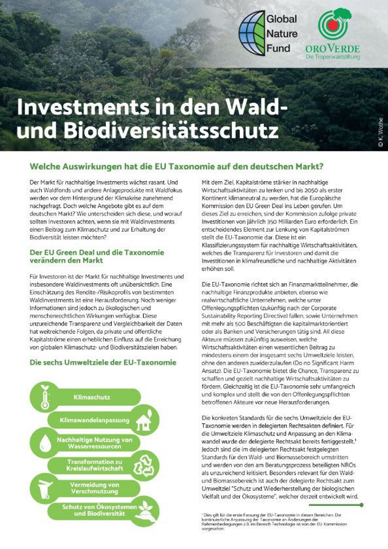 Fact Sheet Investments in den Wald- und Biodiversitätsschutz