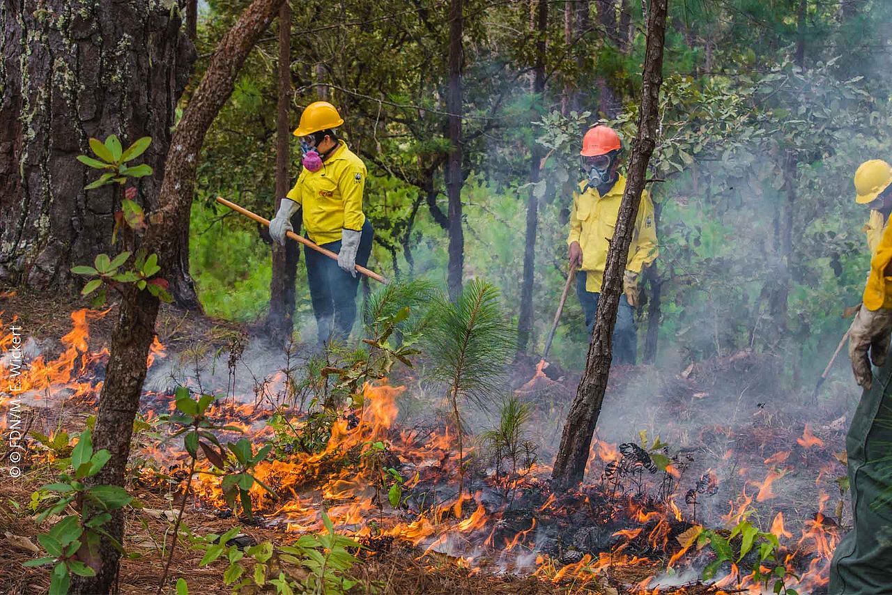Lokale Feuerbrigaden halten die Brände in Schach bis die Feuerwehr eintrifft. ©FDN