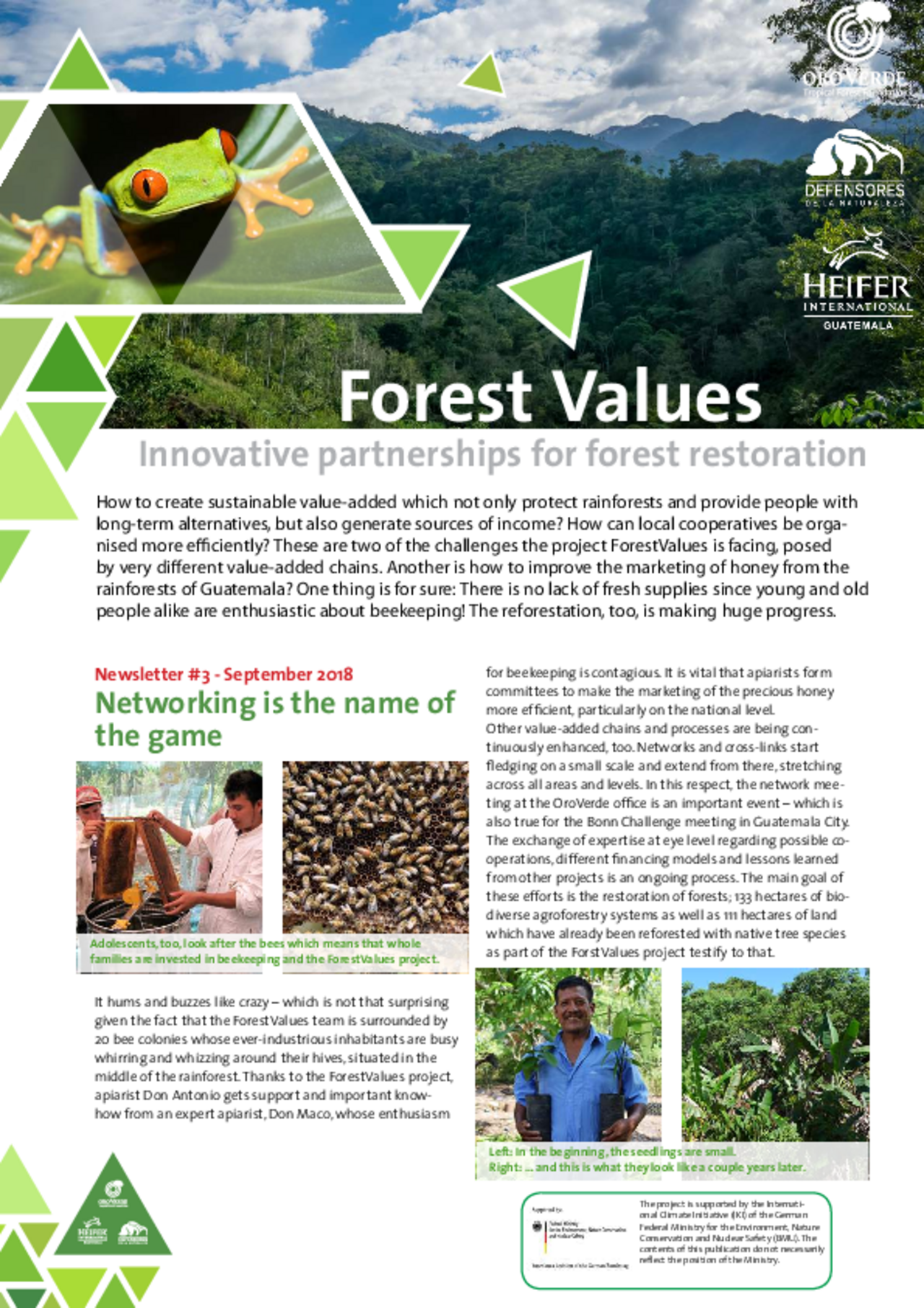 Forest Values: Third Newsletter