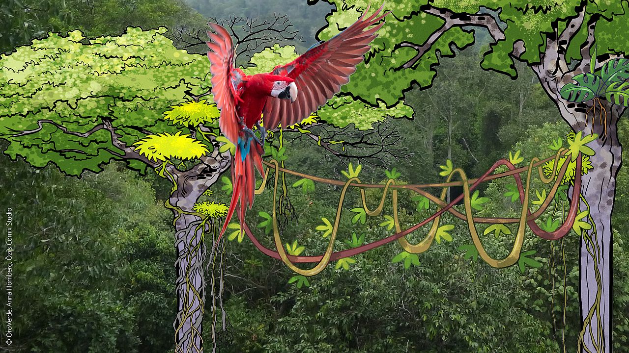 Ein Ara im Regenwald - hinzugefügt Zeichnungen eines Baumes. 