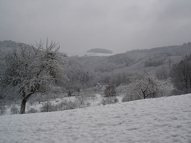 Jahreszeiten-Aktionen: Winter ©Kristina Osen
