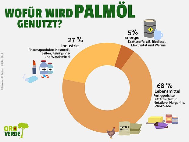 Die Nutzung von Palmöl 2024 ©OroVerde - E. Bakker