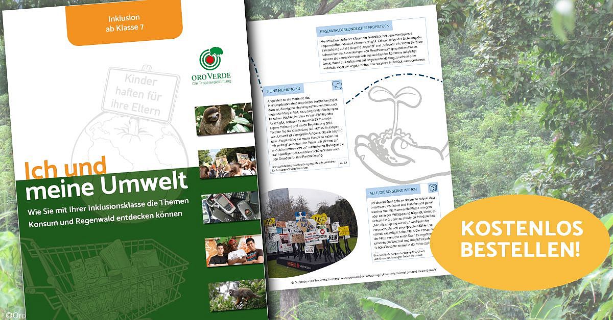 Sprawdzian Z Działu Meine Umwelt Und Ich