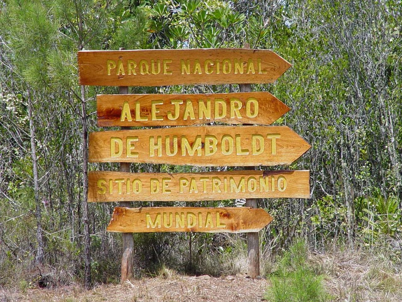 Regenwaldschutzprojekt Alexander-von-Humboldt-Nationalparkt ©OroVerde