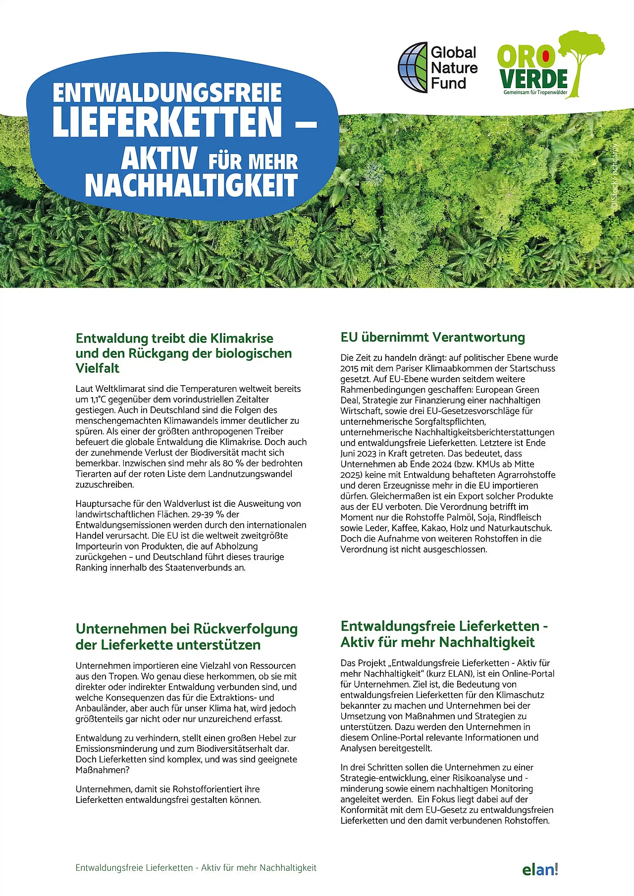 ELAN Projektflyer