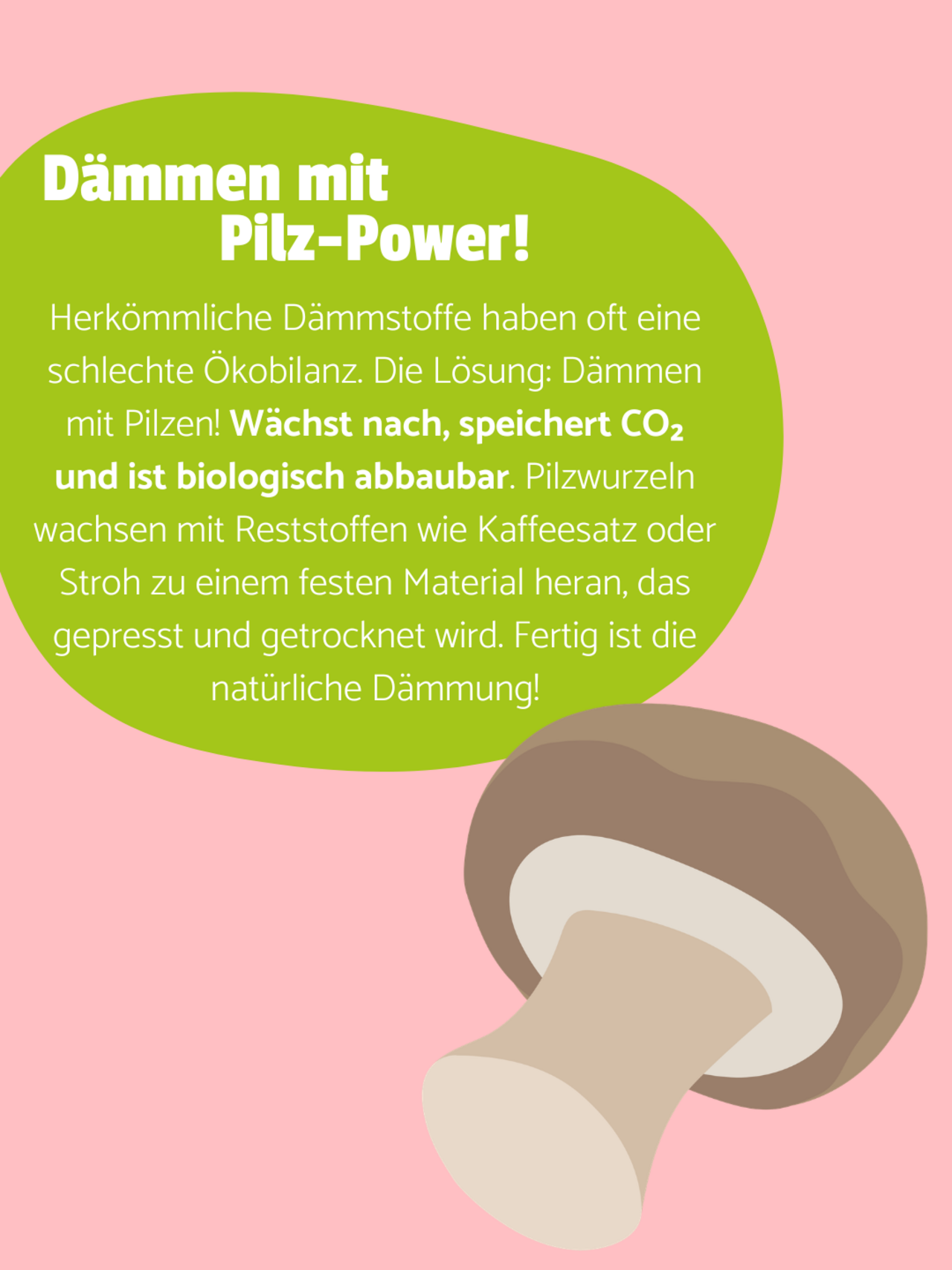 Ein Pilz in der unteren rechten Ecke. Rosa Hintergrund. Eine grüne Blase, in der geschrieben steht: Dämmen mit Pilz-Power - Herkömmliche Dämmstoffe haben oft eine schlechte Ökobilanz. Die Lösung: Dämmen mit Pilzen! Wächst nach, speichert CO₂ und ist biologisch abbaubar. Pilzwurzeln wachsen mit Reststoffen wie Kaffeesatz oder Stroh zu einem festen Material heran, das gepresst und getrocknet wird. Fertig ist die natürliche Dämmung!