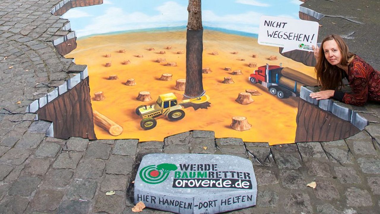 Streetart-Aktion in Bonn, Loch im Regenwald