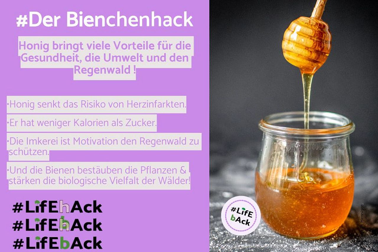 Lifehack Lifeback: Tipps für klimafreundlichen Alltag ©OroVerde Lifehack Lifeback: Tipps für klimafreundlichen Alltag ©OroVerde