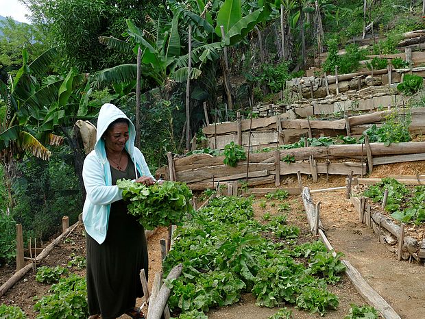 Gemüseanbau in Hausgärten sorgt ganzjährig für die Ernährungssicherheit von Familien. Das ist das Ziel der EbA-Maßnahmen des Projekts Klimawald.