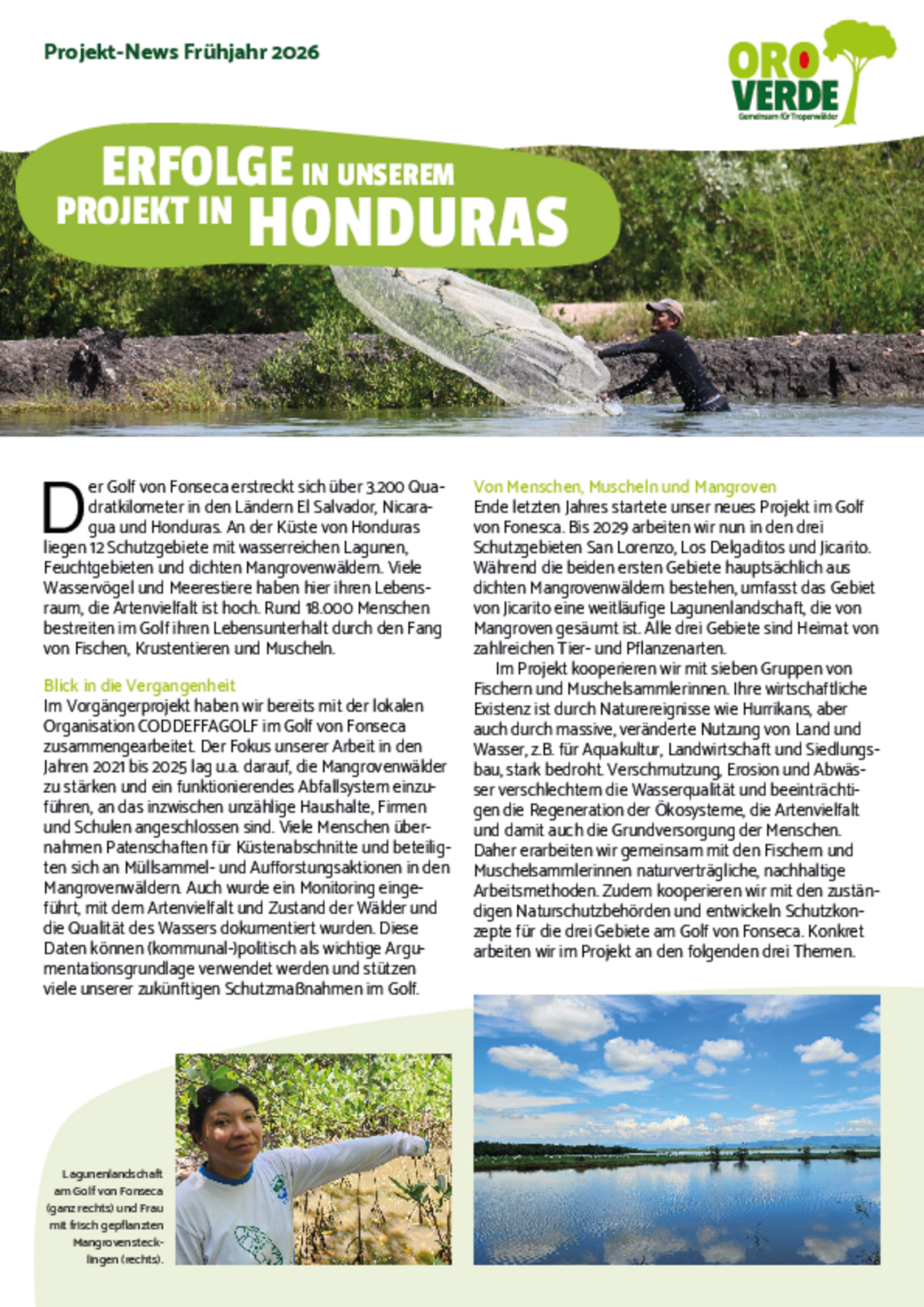 Fortschrittsberichts Honduras 1-2026