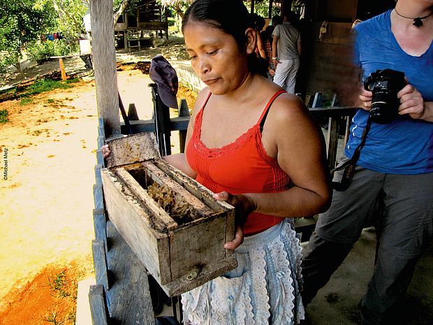 Frau mit einem Bienenstock