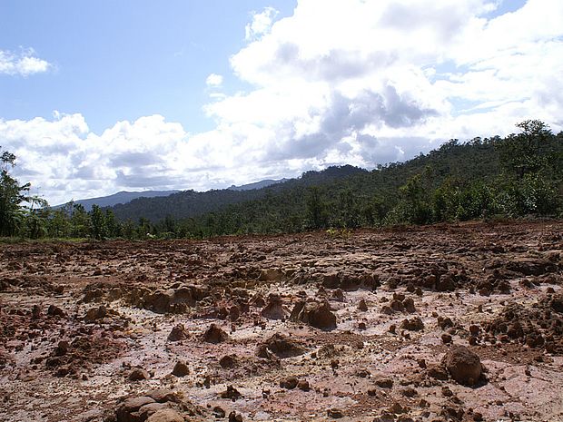 Abholzung im Regenwald: Folgen der Erosion für den Regenwald